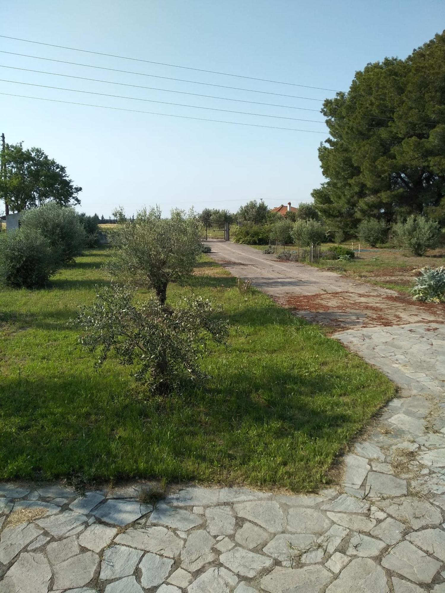 Peacock Villa Upper Epanomi Dış mekan fotoğraf