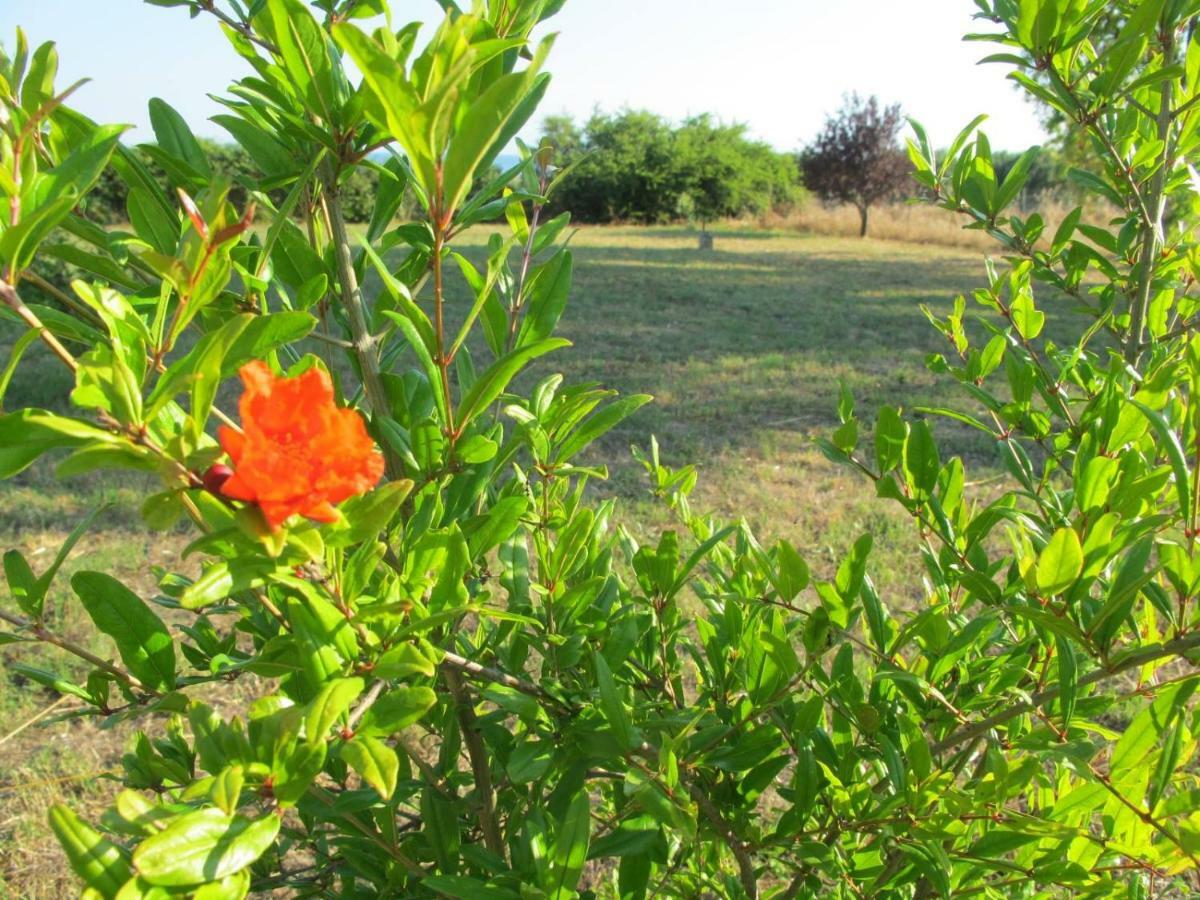 Peacock Villa Upper Epanomi Dış mekan fotoğraf
